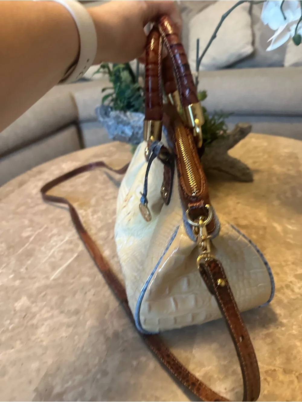 Brahmin elegant croc